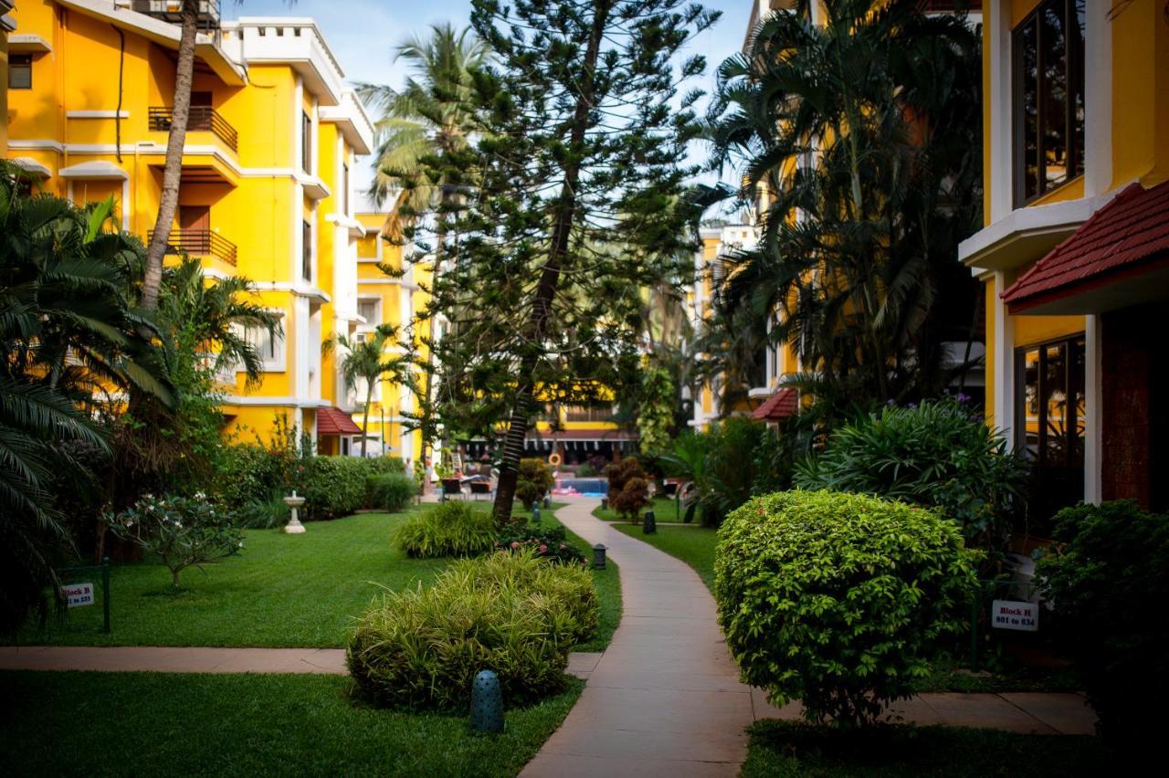 Adamo The Bellus Calangute Hotel Exterior foto